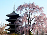 東寺